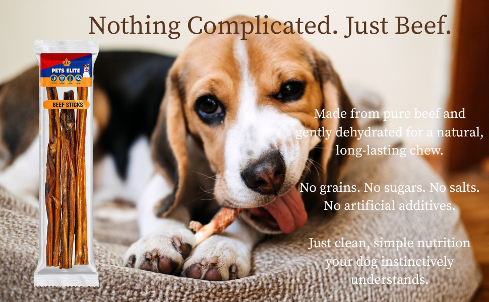 Pets Elite Beef Sticks, product information panel (view 3 of 3) — natural beef stick dog chew from Snout & Swagger