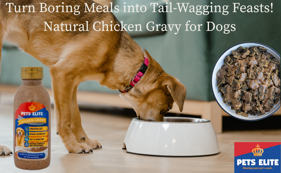 Pets Elite Chicken Gravy Meal Topper, product information panel (view 7 of 11) — natural chicken gravy meal topper for dogs from Snout & Swagger