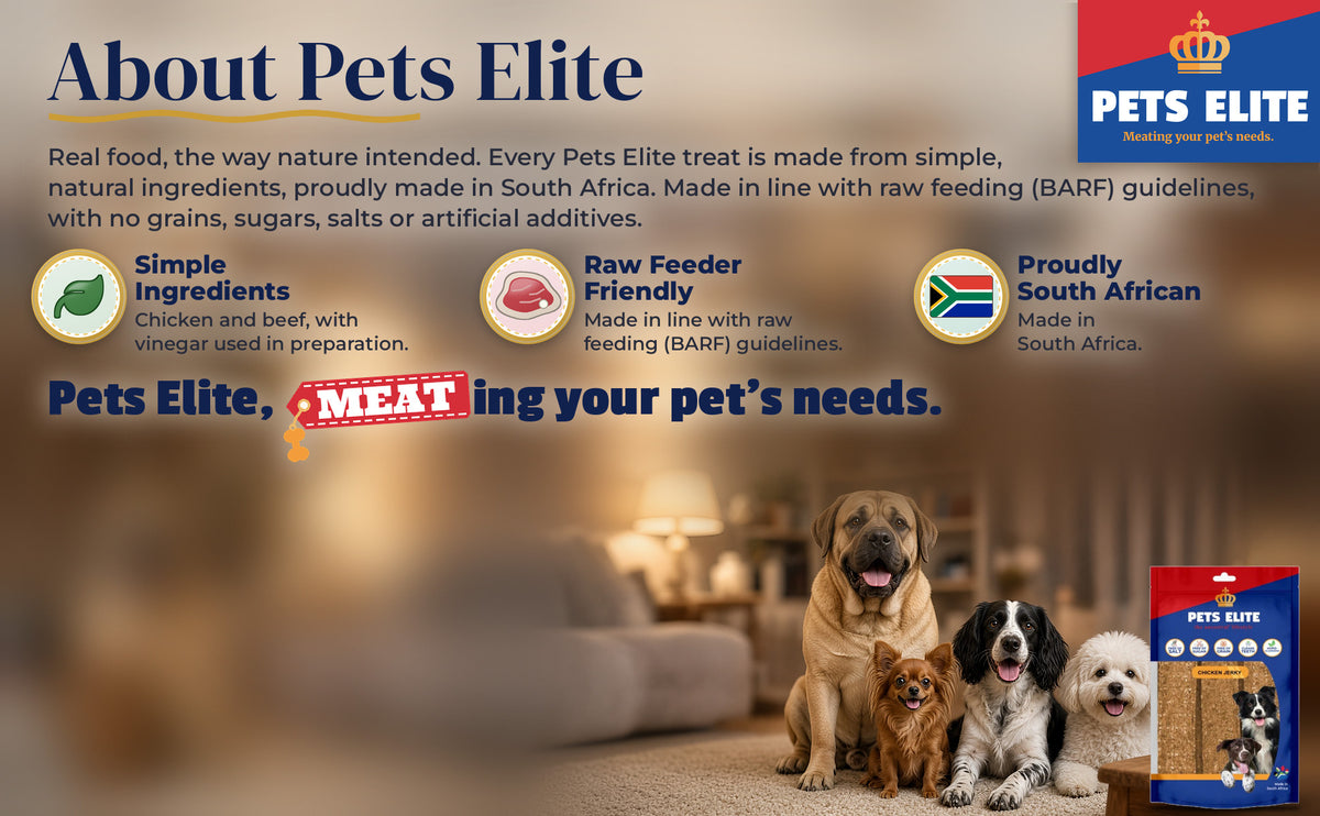 Four dogs of different breeds in a cosy Parys family room: About Pets Elite