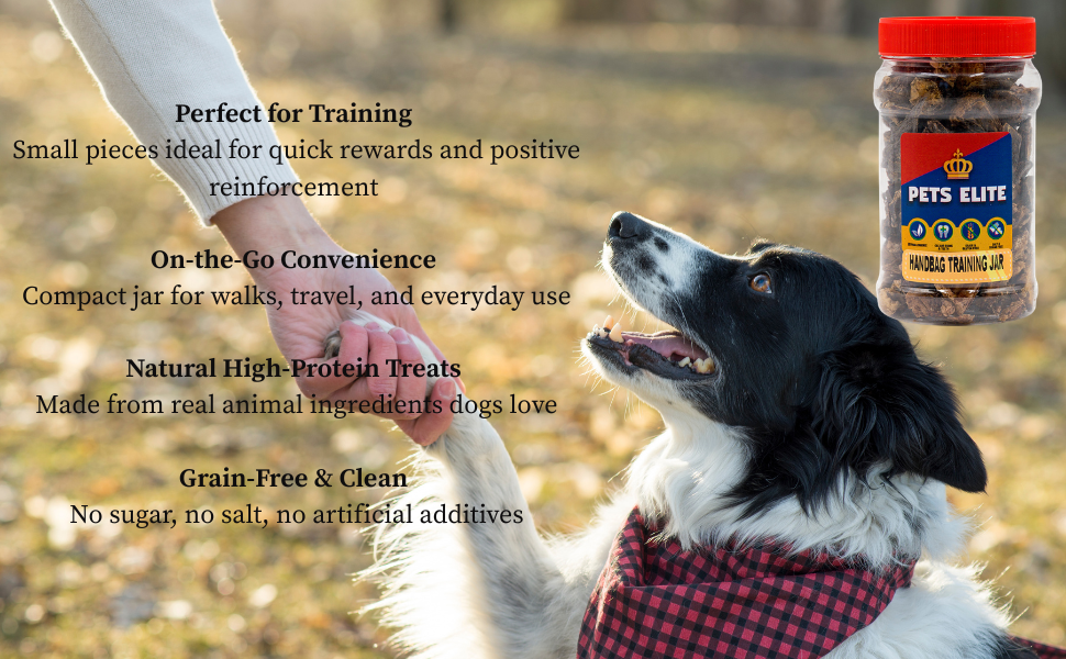 Pets Elite Handbag Training Jar 110g jar, product information panel (view 2 of 6) — natural dog training treats in a handbag jar from Snout & Swagger