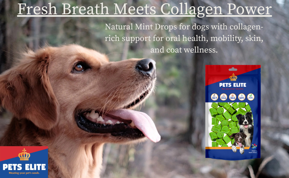 Pets Elite Mint Drops 130g Refill, product information panel (view 1 of 3) — mint drop breath freshening dog treat from Snout & Swagger