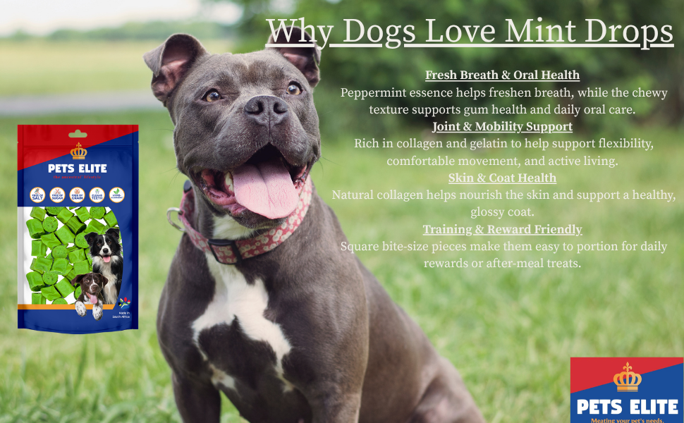 Pets Elite Mint Drops 130g Refill, product information panel (view 2 of 3) — mint drop breath freshening dog treat from Snout & Swagger