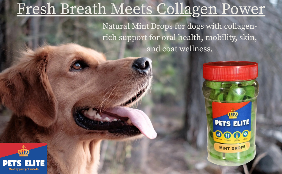 Pets Elite Mint Drops 130g Tub, product information panel (view 1 of 3) — mint drop breath freshening dog treat from Snout & Swagger