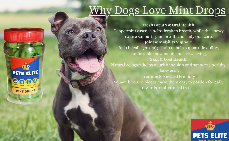 Pets Elite Mint Drops 130g Tub, product information panel (view 2 of 3) — mint drop breath freshening dog treat from Snout & Swagger