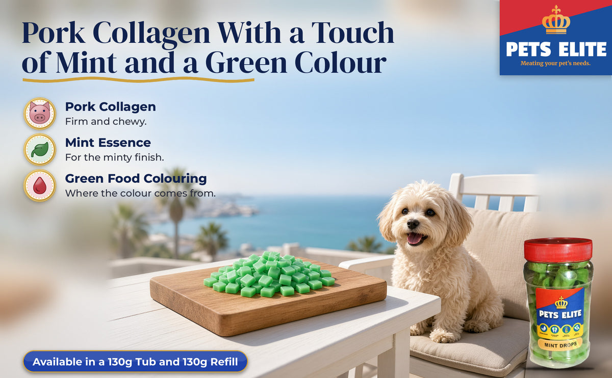 Shih-poo at a patio table above Algoa Bay with a heap of small green Mint Drops on a board