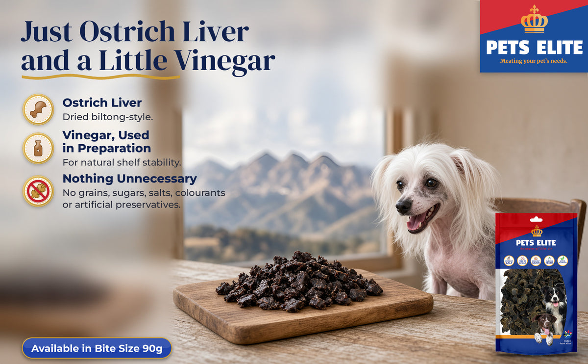 Chinese Crested at a Karoo farmhouse table with a heap of bite-size Ostrich Liver Biltong