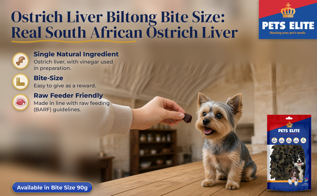 A hand offering Ostrich Liver Biltong to a Yorkshire Terrier in an Oudtshoorn kitchen