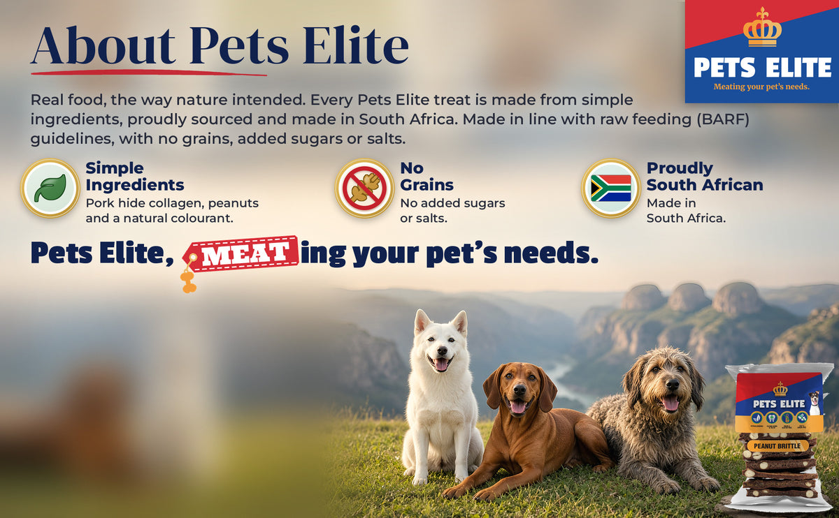 Three dogs of different breeds on a lawn above Blyde River Canyon: About Pets Elite