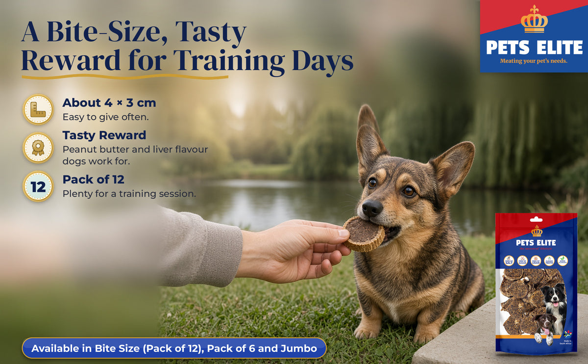 A hand rewarding a Cardigan Welsh Corgi with a Peanut Butter Lolly beside a Midlands farm dam