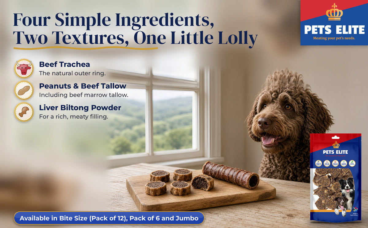 Labradoodle at a Midlands farmhouse table with Peanut Butter Lollies on a wooden board
