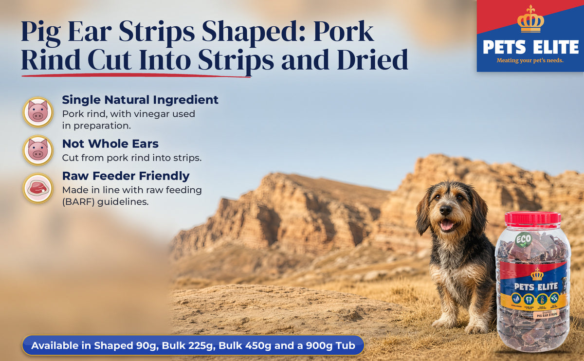 Grand Basset Griffon Vendéen below the Golden Gate sandstone cliffs beside Pig Ear Strips Shaped