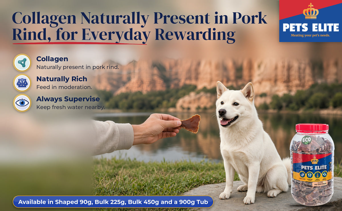 A hand offering a small curled piece of Pig Ear Strips Shaped to a Korean Jindo by a trout dam