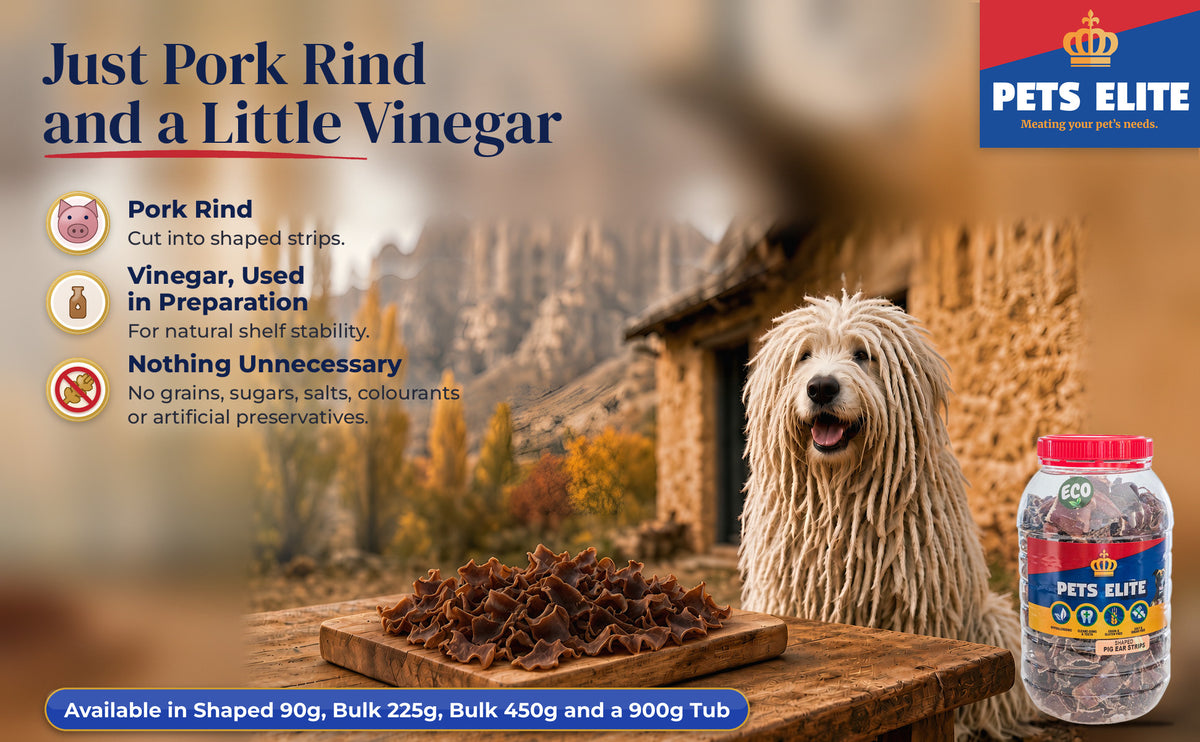 Komondor at a Clarens cottage table with small curled Pig Ear Strips Shaped pieces on a board
