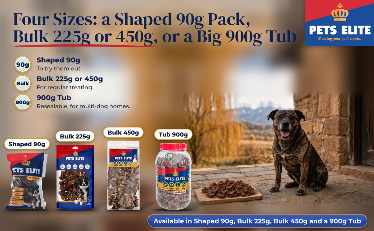 Mountain Cur on a Fouriesburg stoep with small curled Pig Ear Strips Shaped pieces on a board