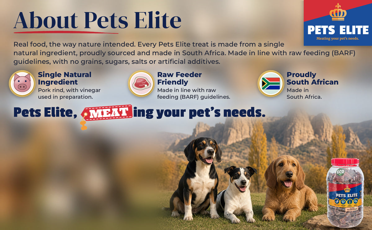 Three dogs of different breeds on a lawn below the Clarens sandstone peaks: About Pets Elite