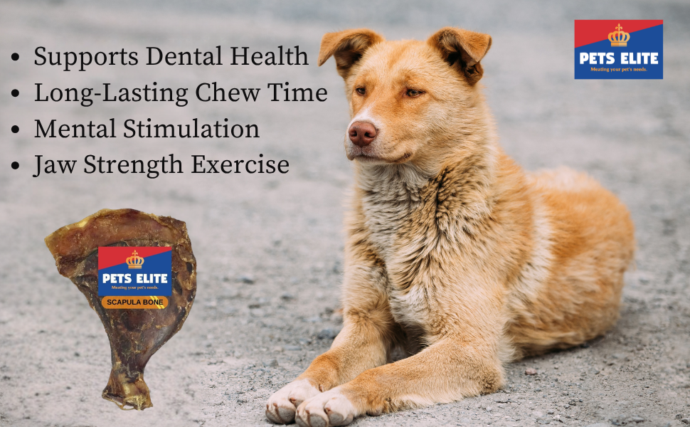 Pets Elite Scapula Bone, product information panel (view 3 of 5) — natural scapula bone dog chew from Snout & Swagger